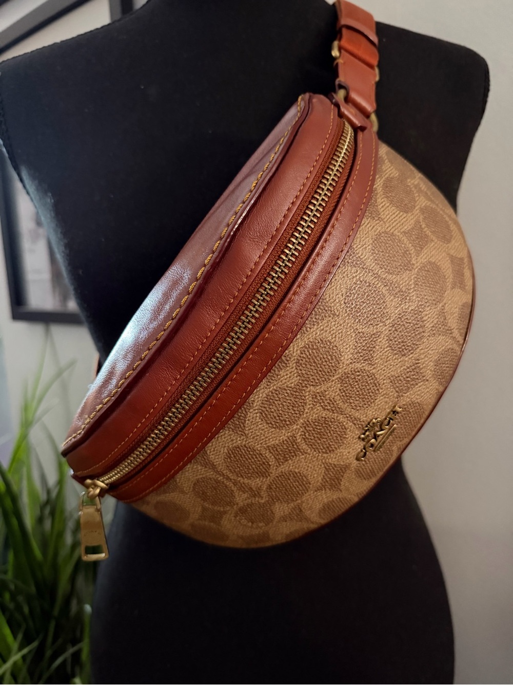 Coach Bethany Belt Bag - Picture 12 of 14